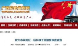 浦东干部爆料新闻最新,揭秘浦东新区政商关系内幕